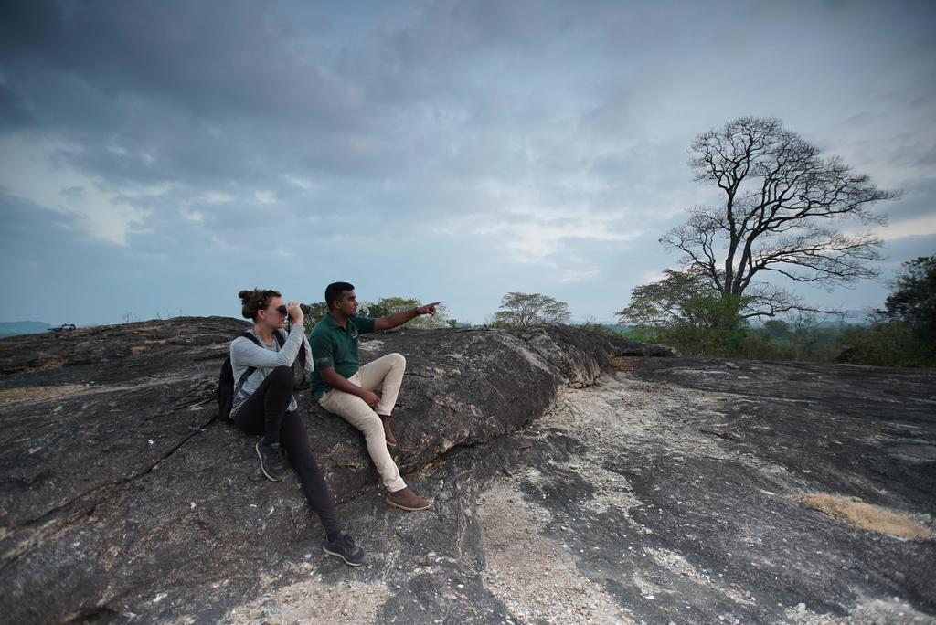Big Game Camp – Udawalawe Tent - Deals, Photos & Reviews